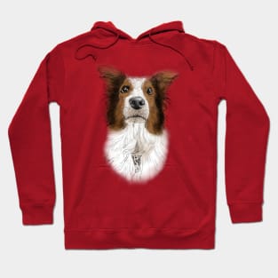 Australian Shepard, Aussie Hoodie